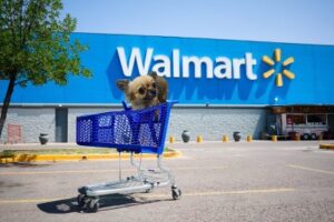 Qué Es Walmart